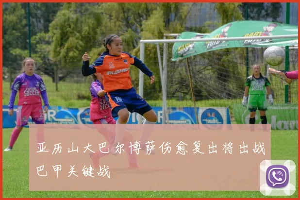 亚历山大巴尔博萨伤愈复出将出战巴甲关键战
